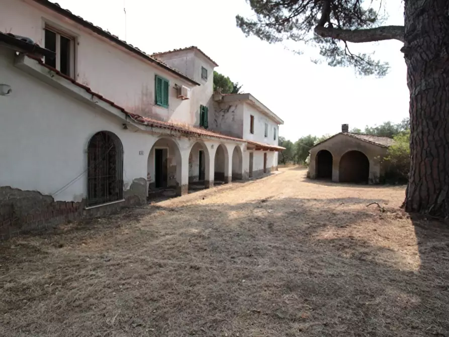 Immagine 8 di Casa colonica in vendita  a Casciana Terme Lari