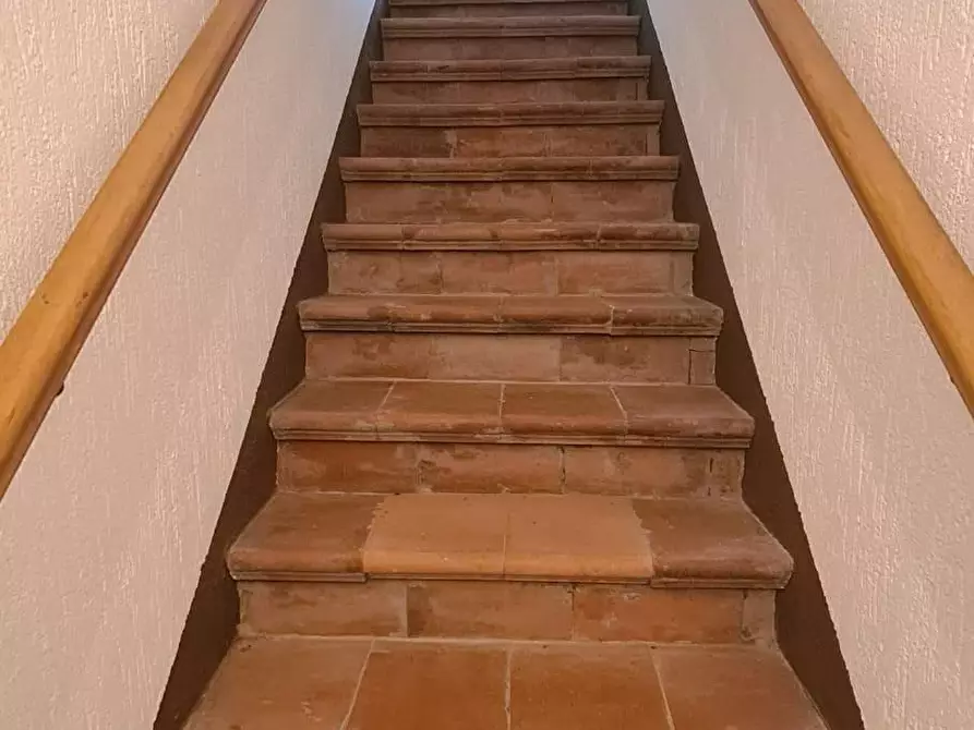 Immagine 24 di Appartamento in vendita  a Cinigiano