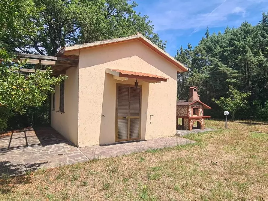 Immagine 38 di Appartamento in vendita  a Cinigiano