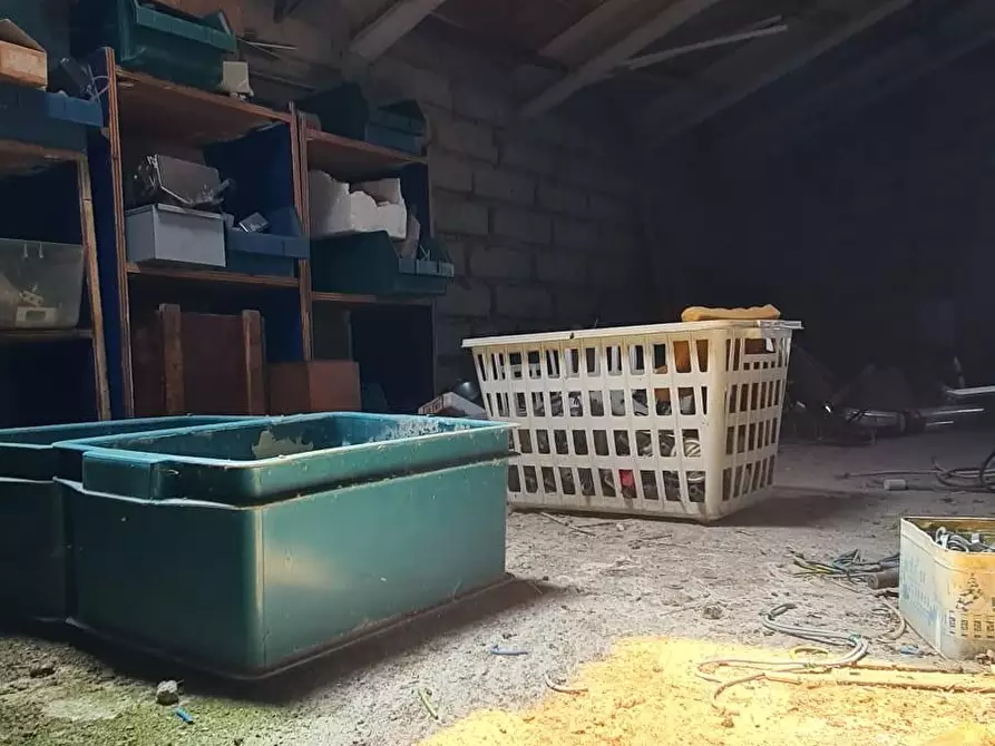 Immagine 20 di Appartamento in vendita  a Cinigiano