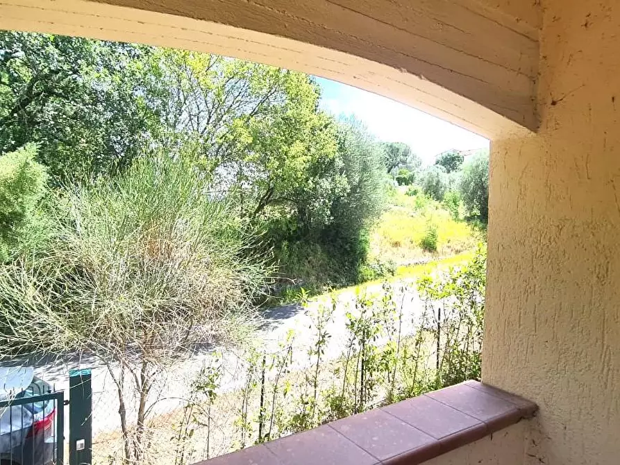 Immagine 6 di Appartamento in vendita  a Cinigiano