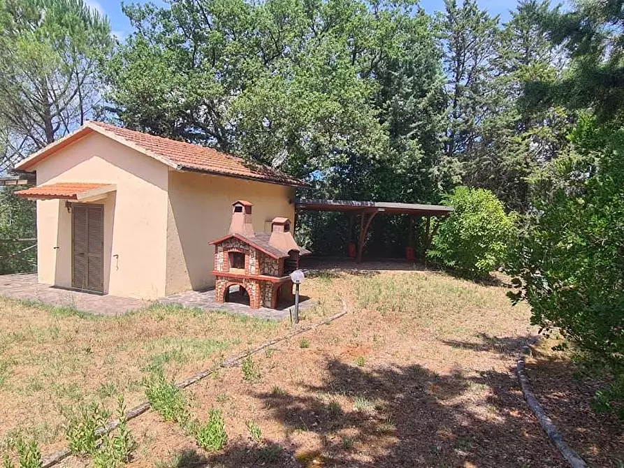Immagine 7 di Appartamento in vendita  a Cinigiano