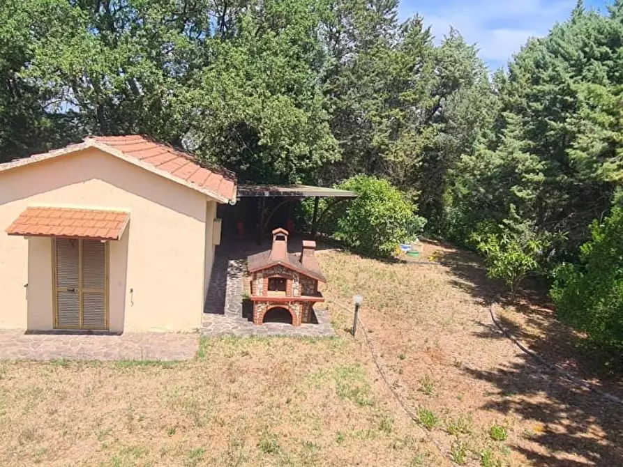 Immagine 12 di Appartamento in vendita  a Cinigiano