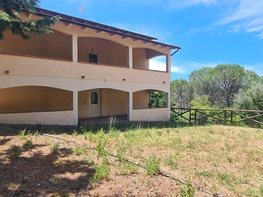 Immagine 5 di Appartamento in vendita  a Cinigiano