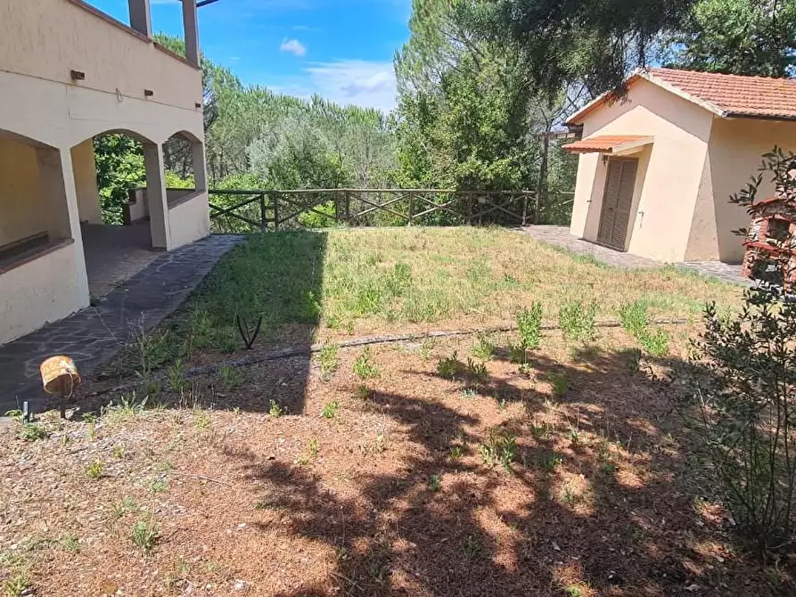 Immagine 4 di Appartamento in vendita  a Cinigiano