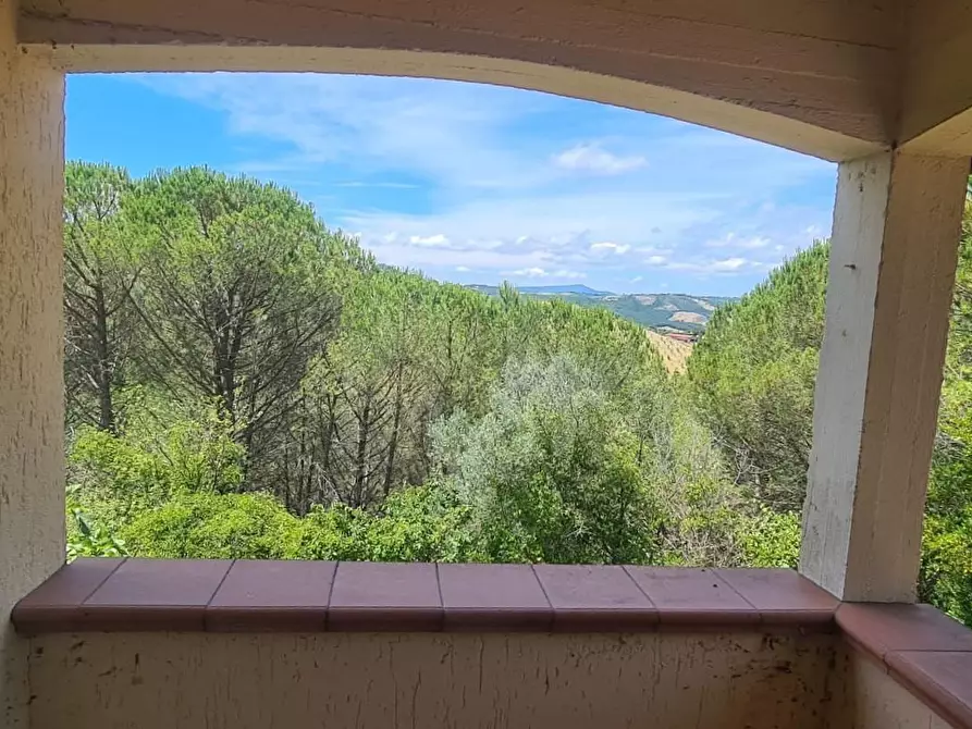 Immagine 1 di Appartamento in vendita  a Cinigiano