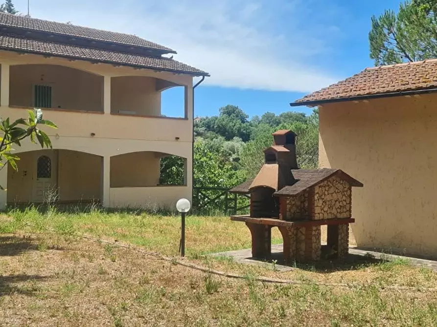 Immagine 2 di Appartamento in vendita  a Cinigiano