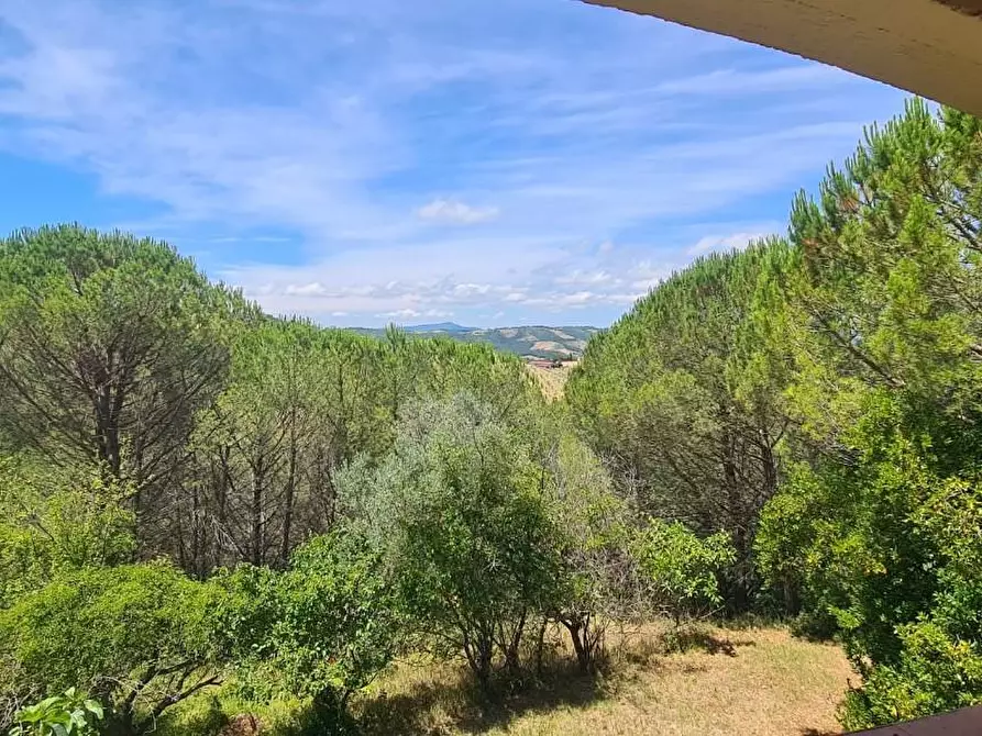 Immagine 8 di Appartamento in vendita  a Cinigiano
