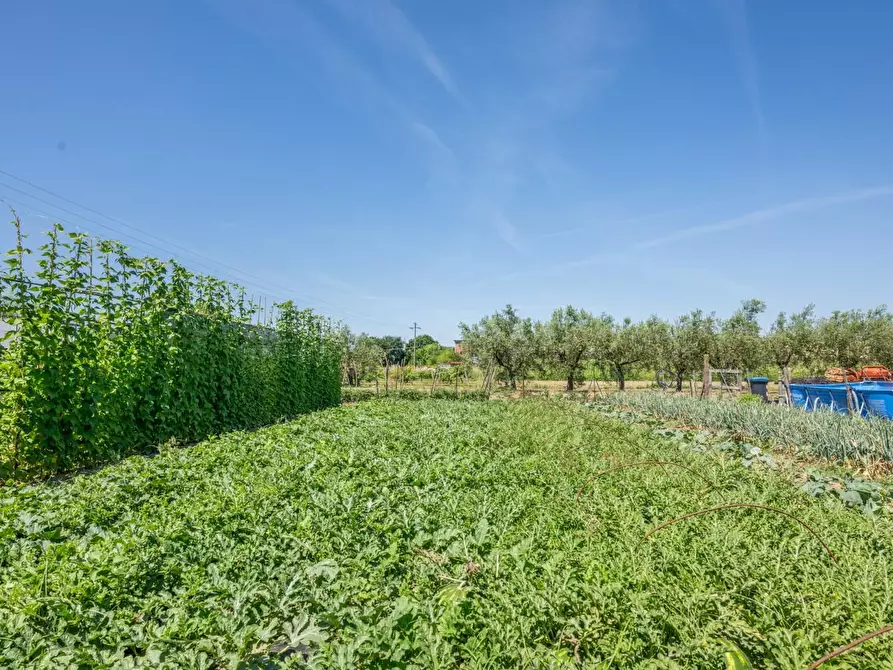 Immagine 4 di Casa indipendente in vendita  a Cascina