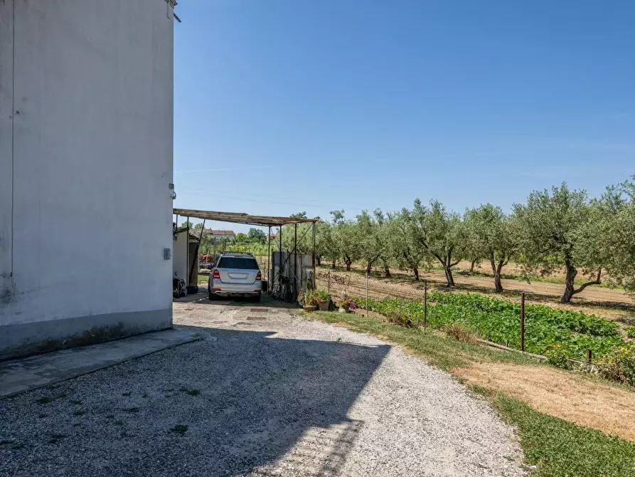 Immagine 11 di Casa indipendente in vendita  a Cascina