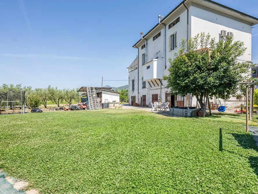 Immagine 9 di Casa indipendente in vendita  a Cascina