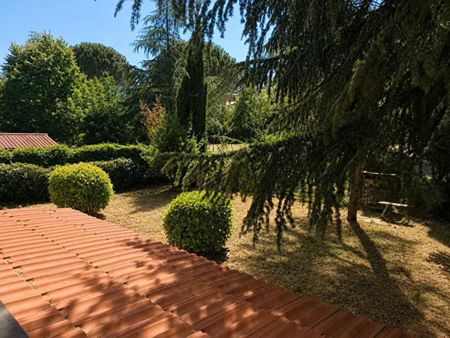 Immagine 19 di Appartamento in vendita  a Sinalunga