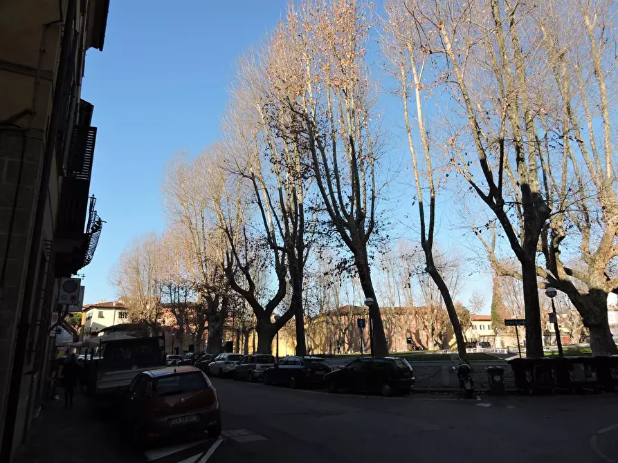 Immagine 2 di Appartamento in affitto  a Pisa