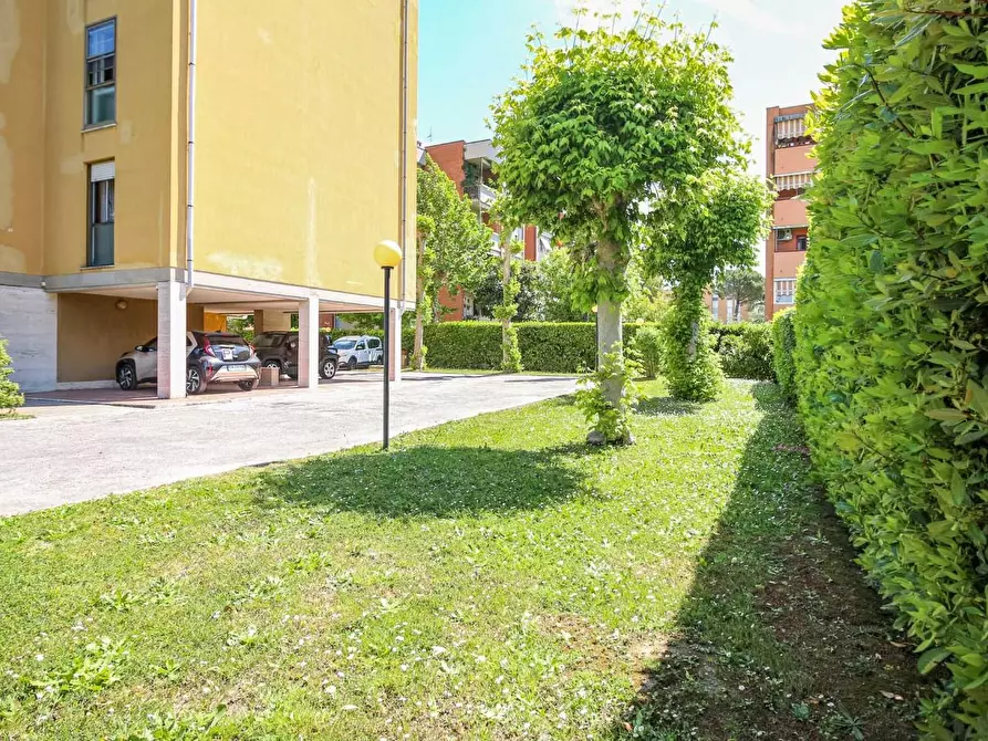 Immagine 41 di Appartamento in vendita  a Pisa