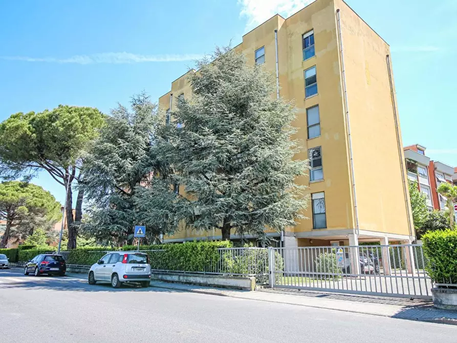 Immagine 42 di Appartamento in vendita  a Pisa
