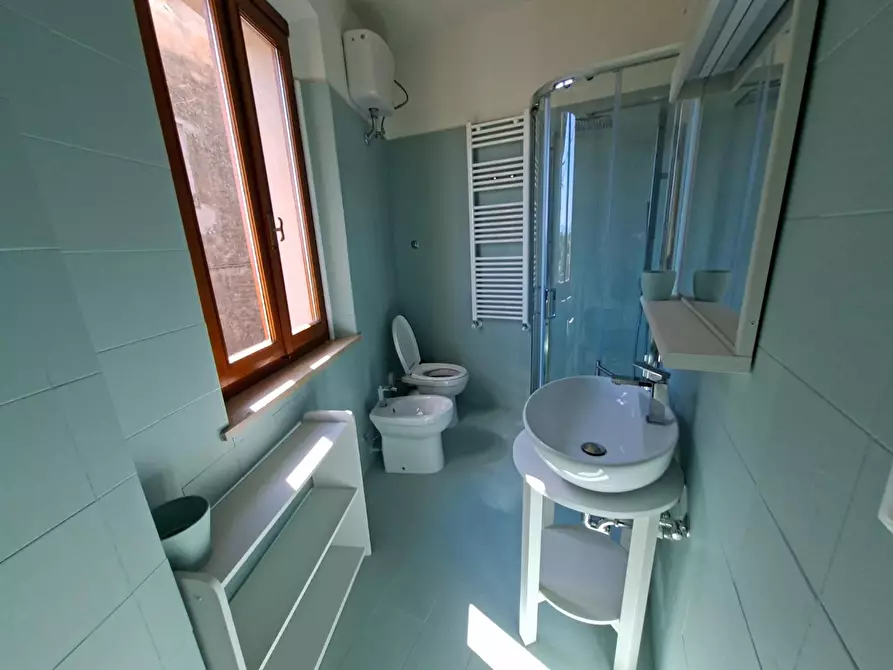 Immagine 6 di Appartamento in affitto  a Palaia