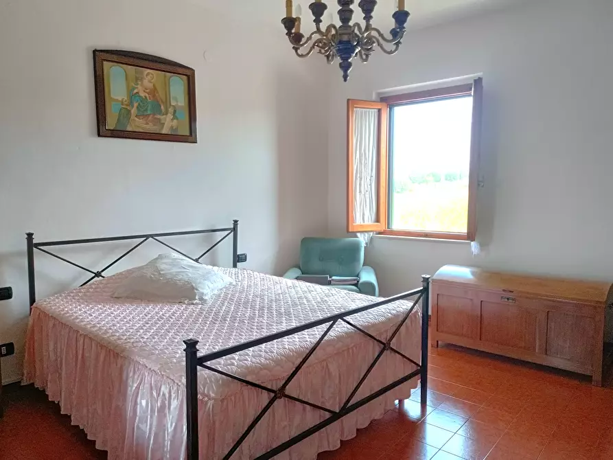 Immagine 12 di Terratetto in vendita  a Empoli
