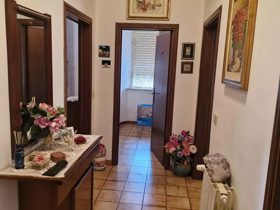 Immagine 28 di Appartamento in vendita  a Campiglia Marittima
