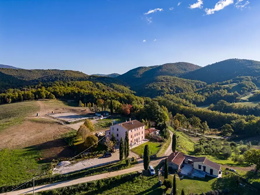 Immagine 9 di Casa colonica in vendita  a Massa Marittima