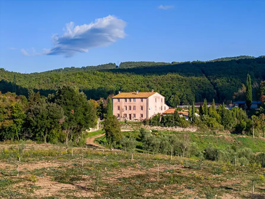 Immagine 5 di Casa colonica in vendita  a Massa Marittima