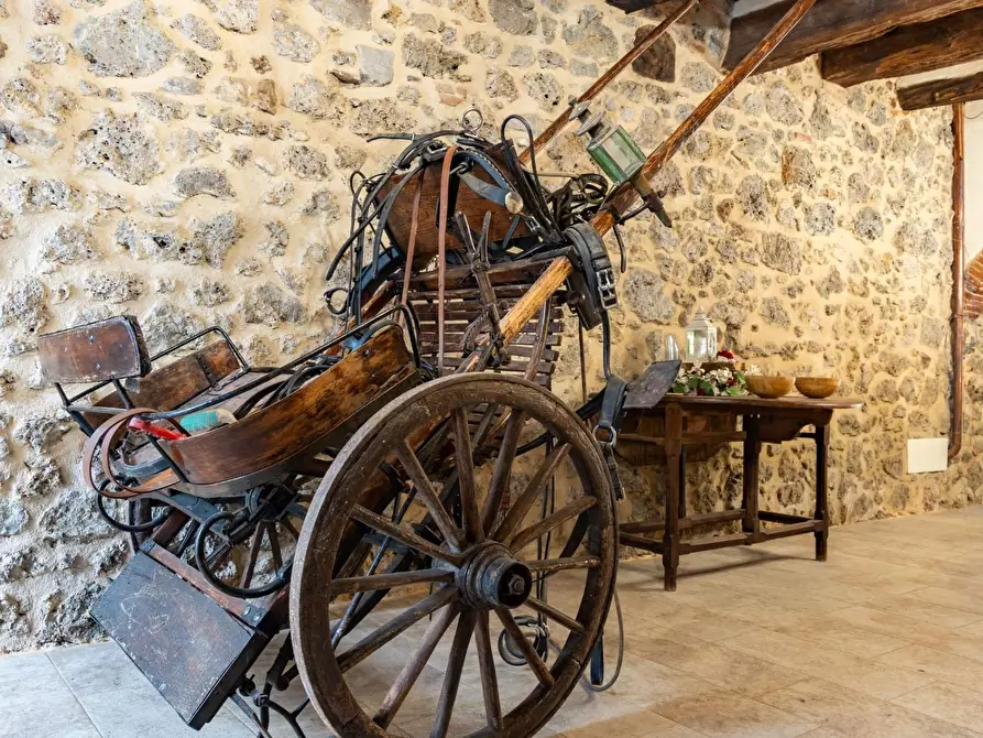 Immagine 35 di Casa colonica in vendita  a Massa Marittima