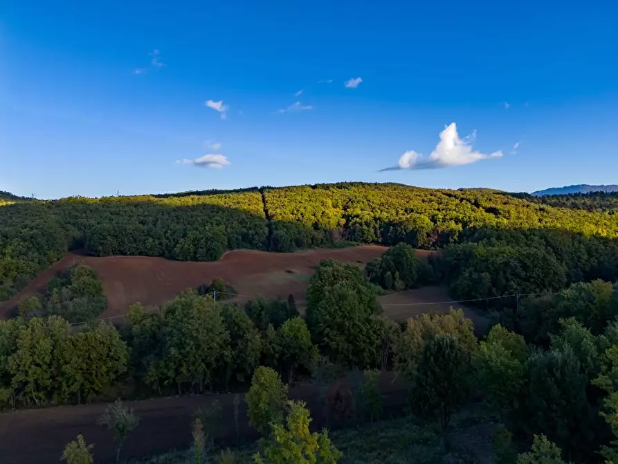 Immagine 59 di Casa colonica in vendita  a Massa Marittima