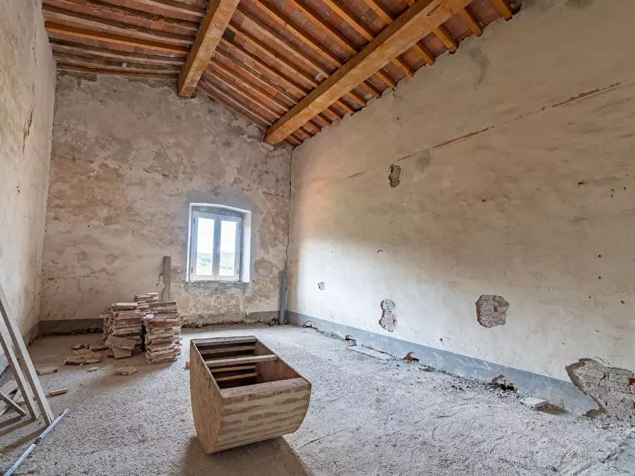 Immagine 54 di Casa colonica in vendita  a Massa Marittima