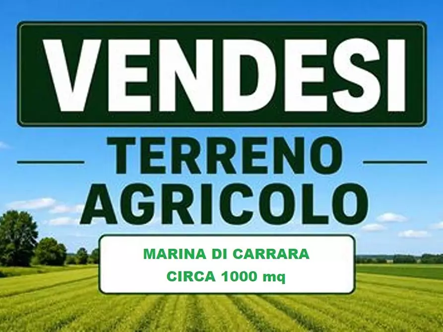 Immagine 1 di Terreno agricolo in vendita  a Carrara