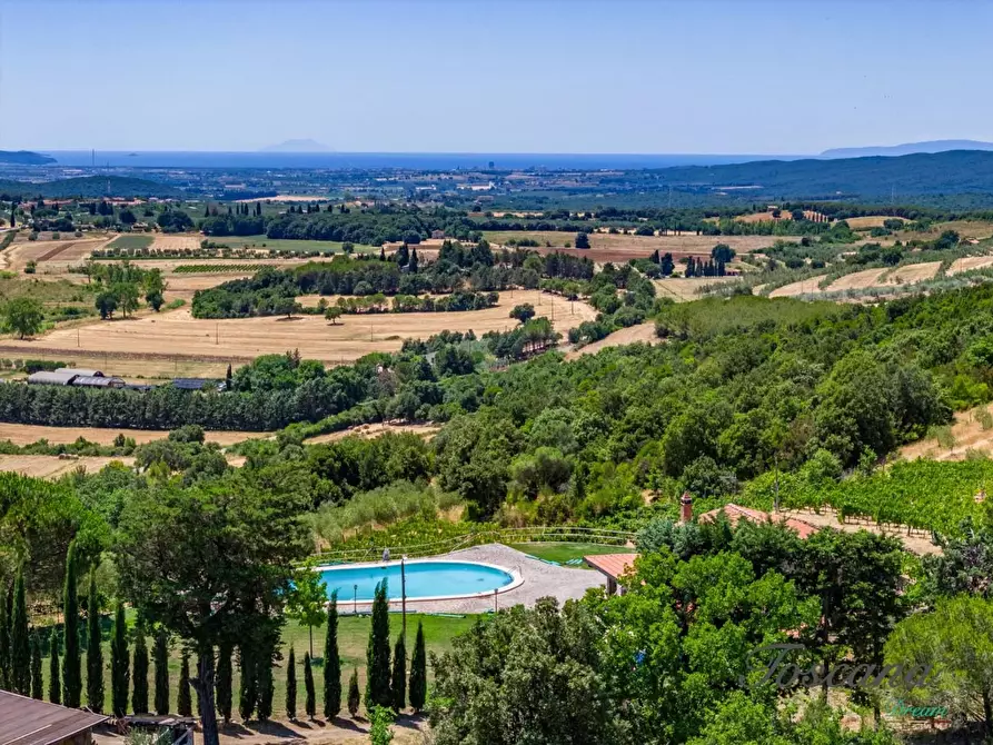 Immagine 55 di Villa in vendita  a Massa Marittima