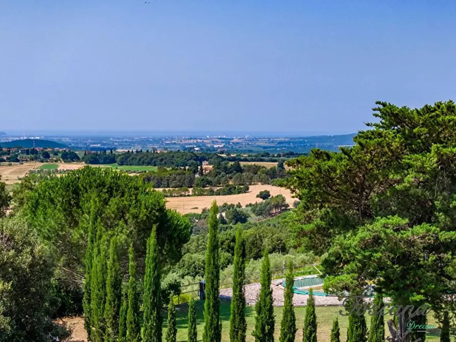 Immagine 13 di Villa in vendita  a Massa Marittima