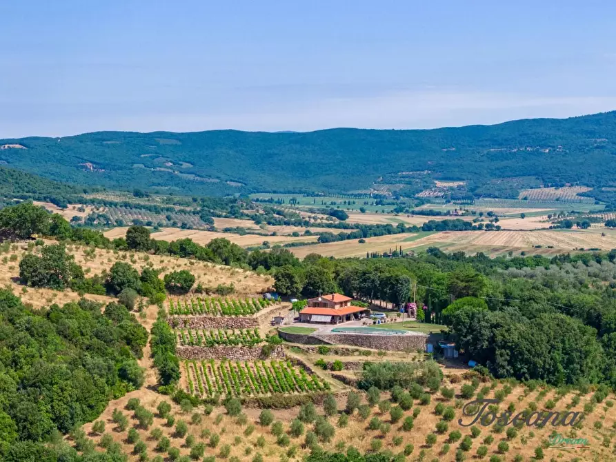 Immagine 19 di Villa in vendita  a Massa Marittima