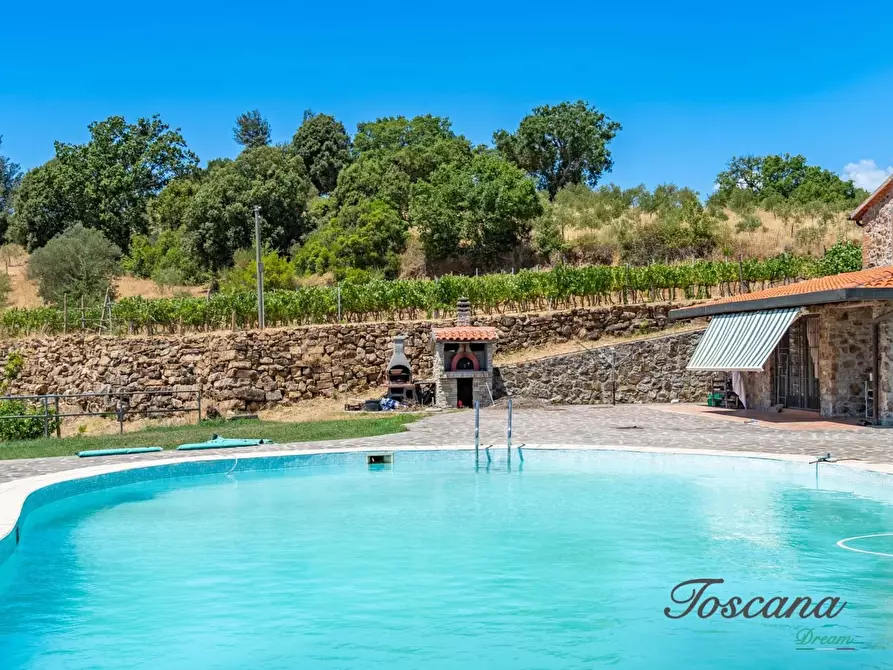 Immagine 53 di Villa in vendita  a Massa Marittima
