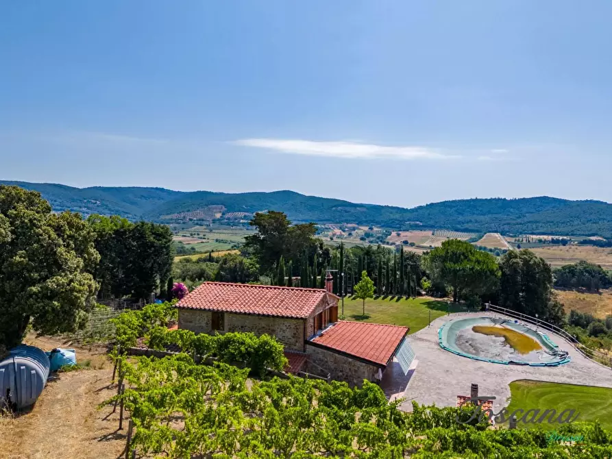Immagine 18 di Villa in vendita  a Massa Marittima