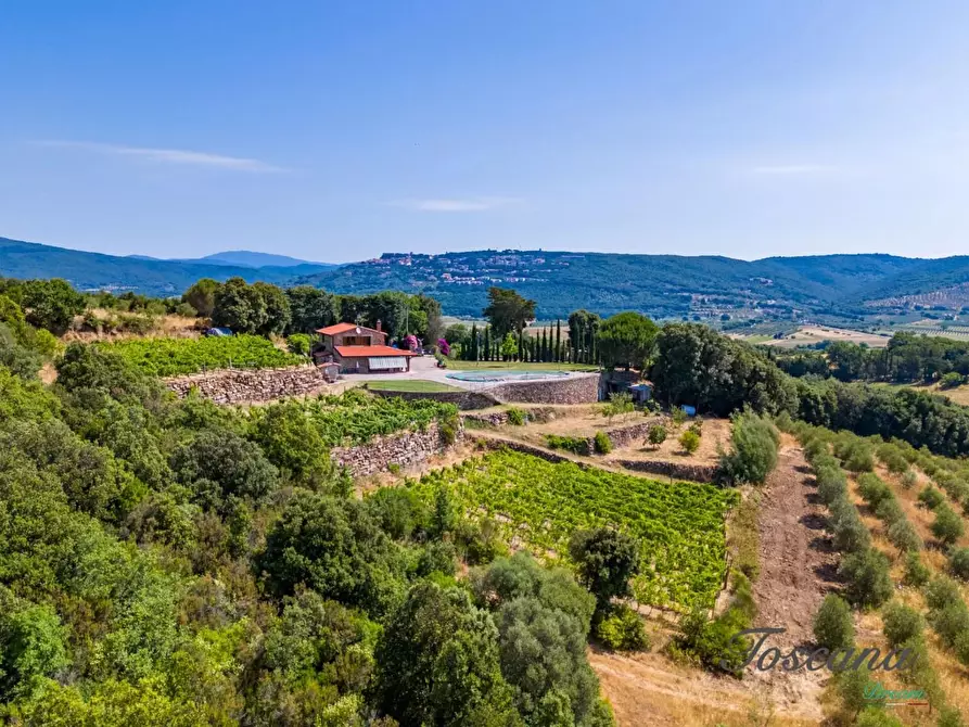 Immagine 16 di Villa in vendita  a Massa Marittima