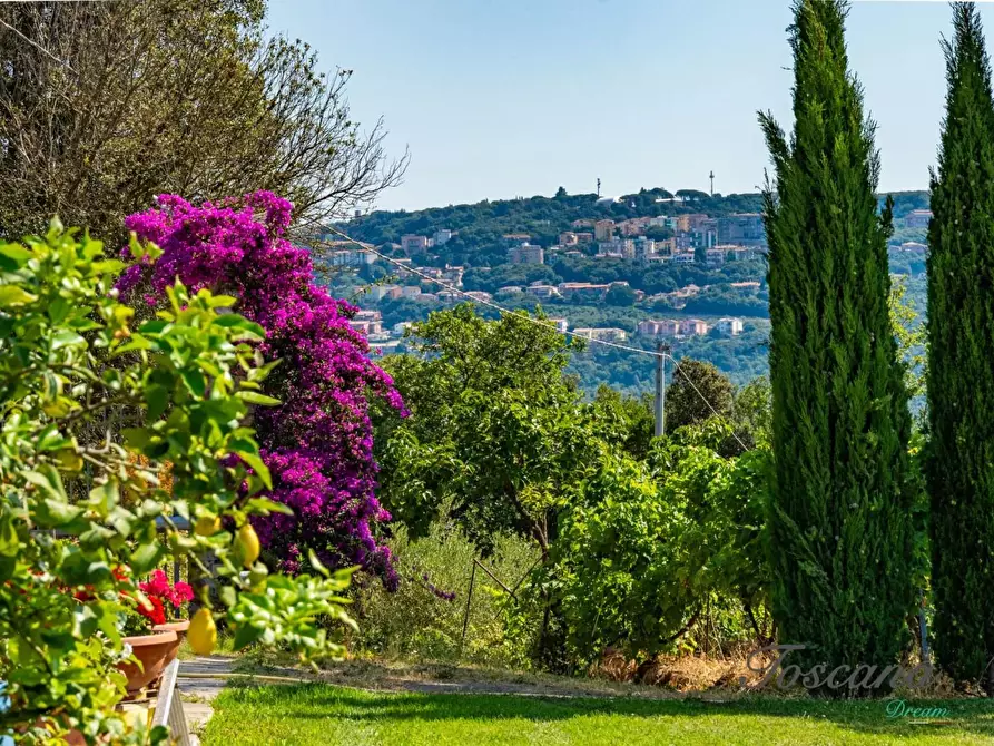 Immagine 9 di Villa in vendita  a Massa Marittima