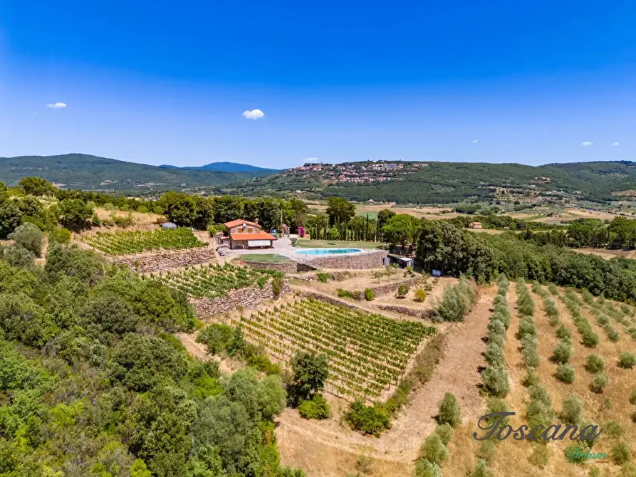 Immagine 5 di Villa in vendita  a Massa Marittima
