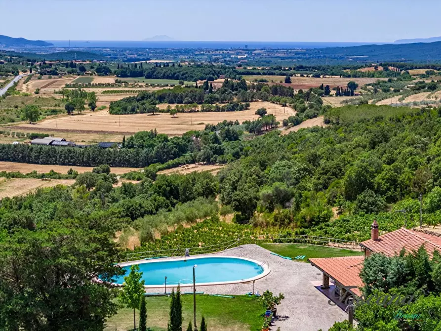 Immagine 4 di Villa in vendita  a Massa Marittima