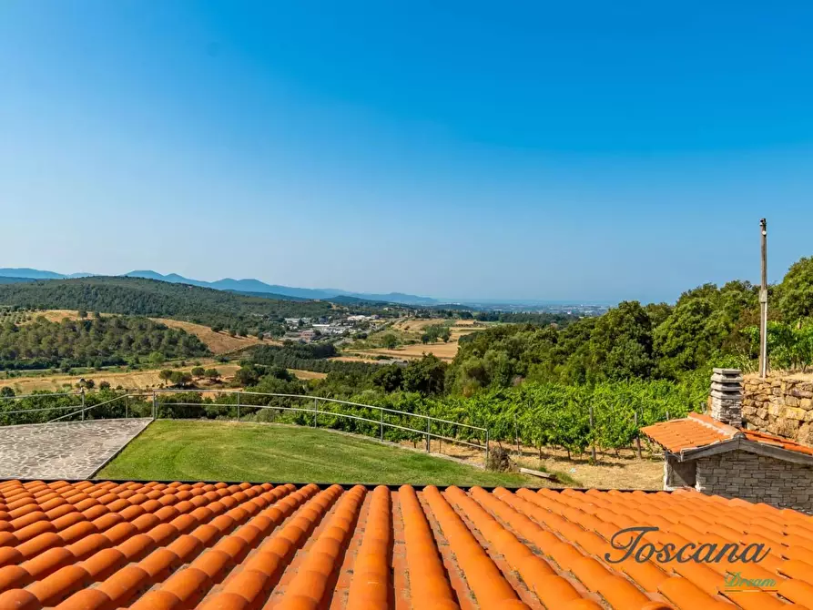 Immagine 46 di Villa in vendita  a Massa Marittima