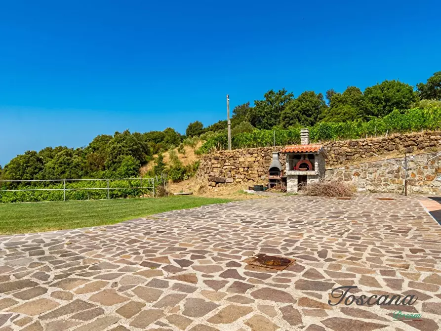 Immagine 22 di Villa in vendita  a Massa Marittima
