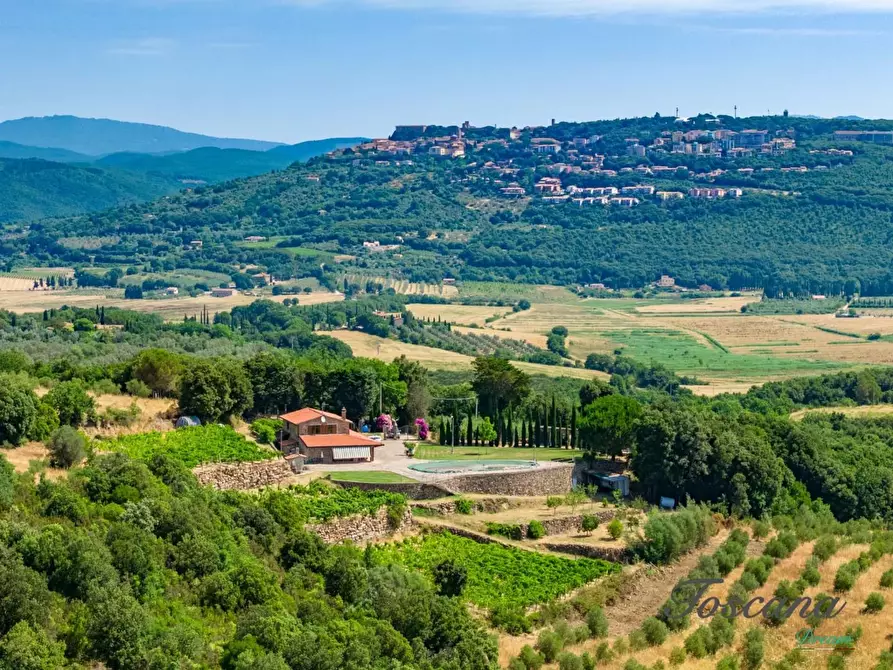 Immagine 20 di Villa in vendita  a Massa Marittima