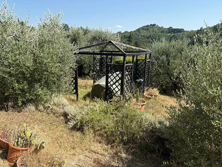 Immagine 1 di Terreno agricolo in vendita  a Pontedera