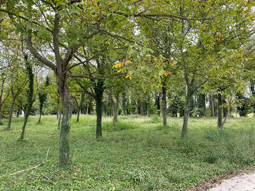 Immagine 1 di Terreno residenziale in vendita  a Treviso