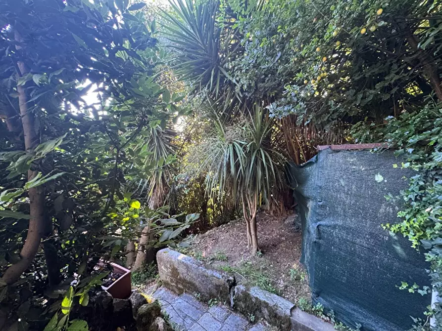 Immagine 26 di Casa indipendente in vendita  a Carrara