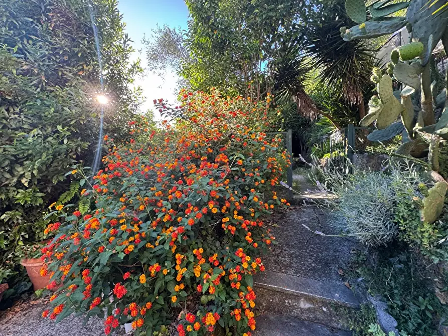Immagine 35 di Casa indipendente in vendita  a Carrara
