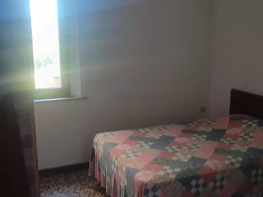Immagine 5 di Terratetto in vendita  a Terricciola