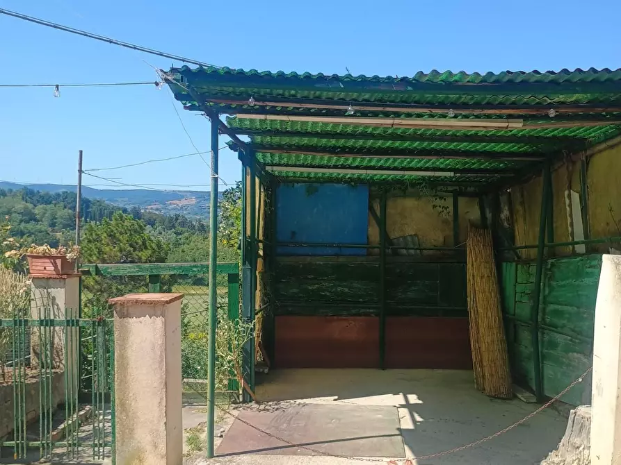 Immagine 16 di Terratetto in vendita  a Terricciola
