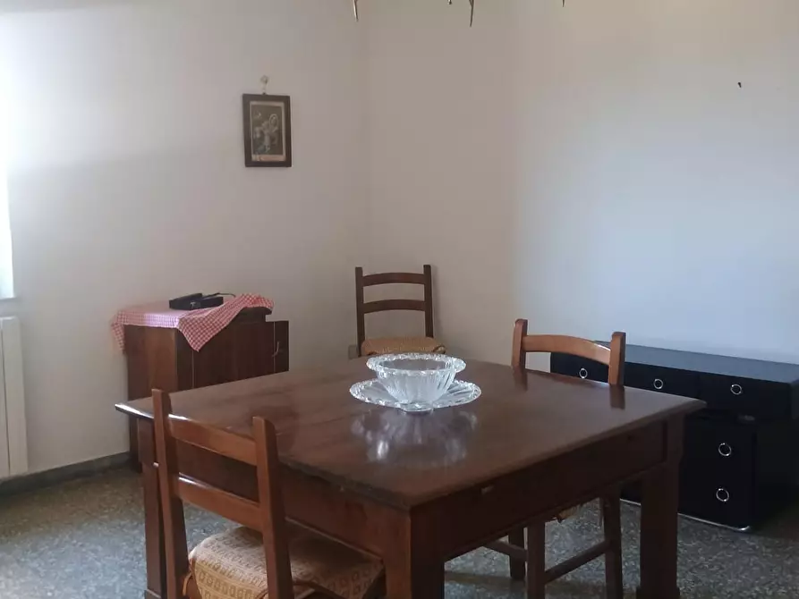 Immagine 3 di Terratetto in vendita  a Terricciola