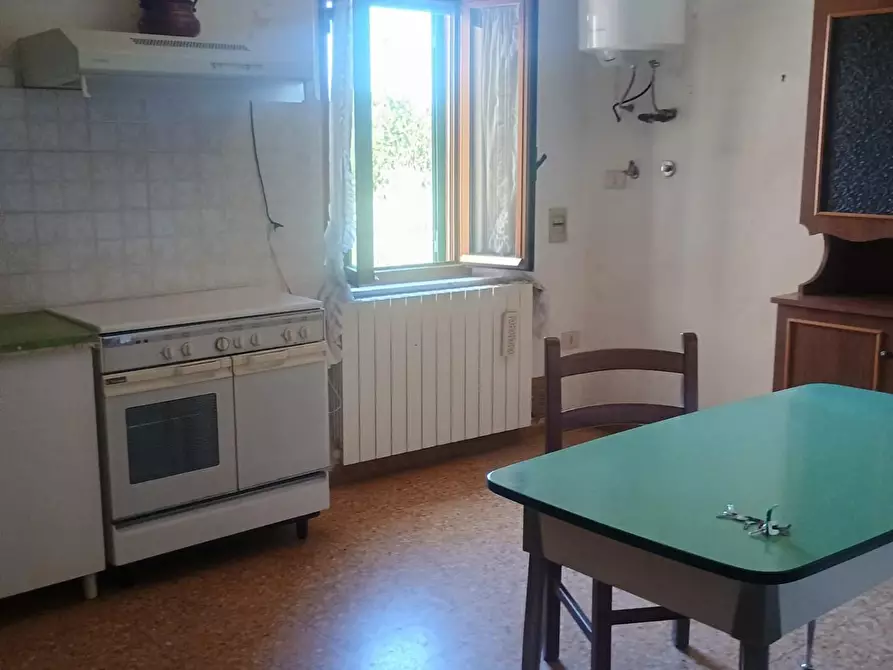 Immagine 4 di Terratetto in vendita  a Terricciola