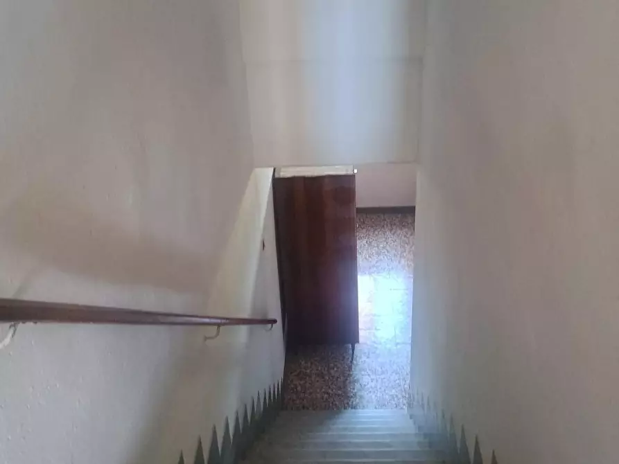 Immagine 10 di Terratetto in vendita  a Terricciola