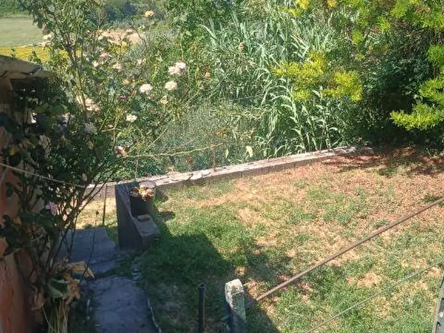 Immagine 18 di Terratetto in vendita  a Terricciola
